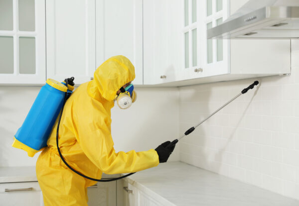 Pest control worker in protective suit spraying insecticide on furniture indoors Pest control worker in protective suit spraying insecticide on furniture indoors